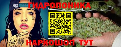 эйфоретик Бузулук