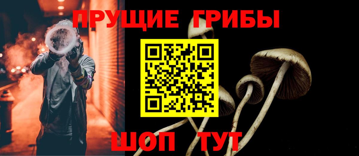 Псилоцибиновые грибы прущие грибы Новочеркасск