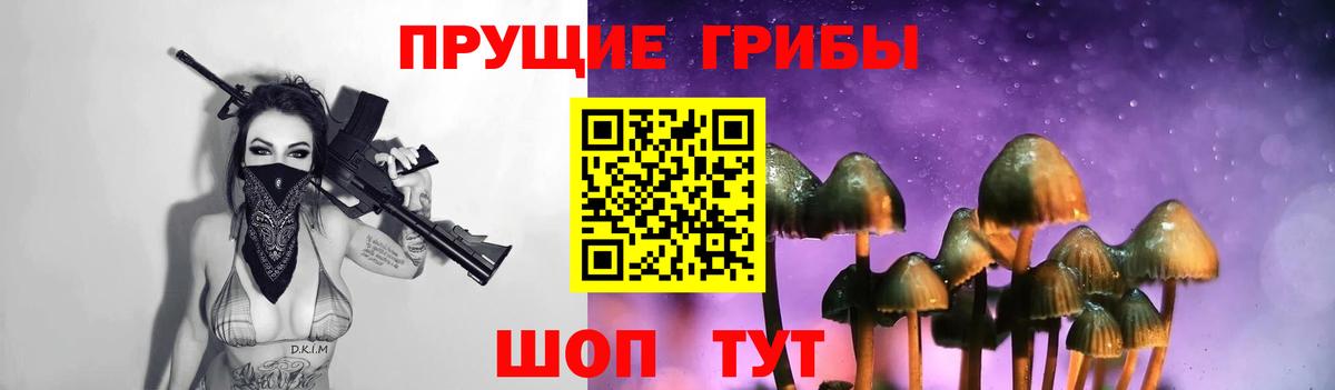 Новочеркасск  Псилоцибиновые грибы Magic Shrooms  купить   Вход с VPN 